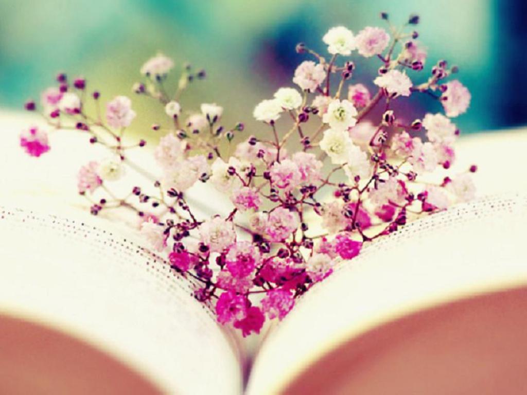 1024x768 Free download Book Wallpaper Reading Wallpaper 32699170 [1024x768] for your Desktop, Mobile & Tablet. Explore Reading Wallpaper. Books Desktop Wallpaper, Wallpaper Image of Books, The Yellow Wallpaper Reading Questions
