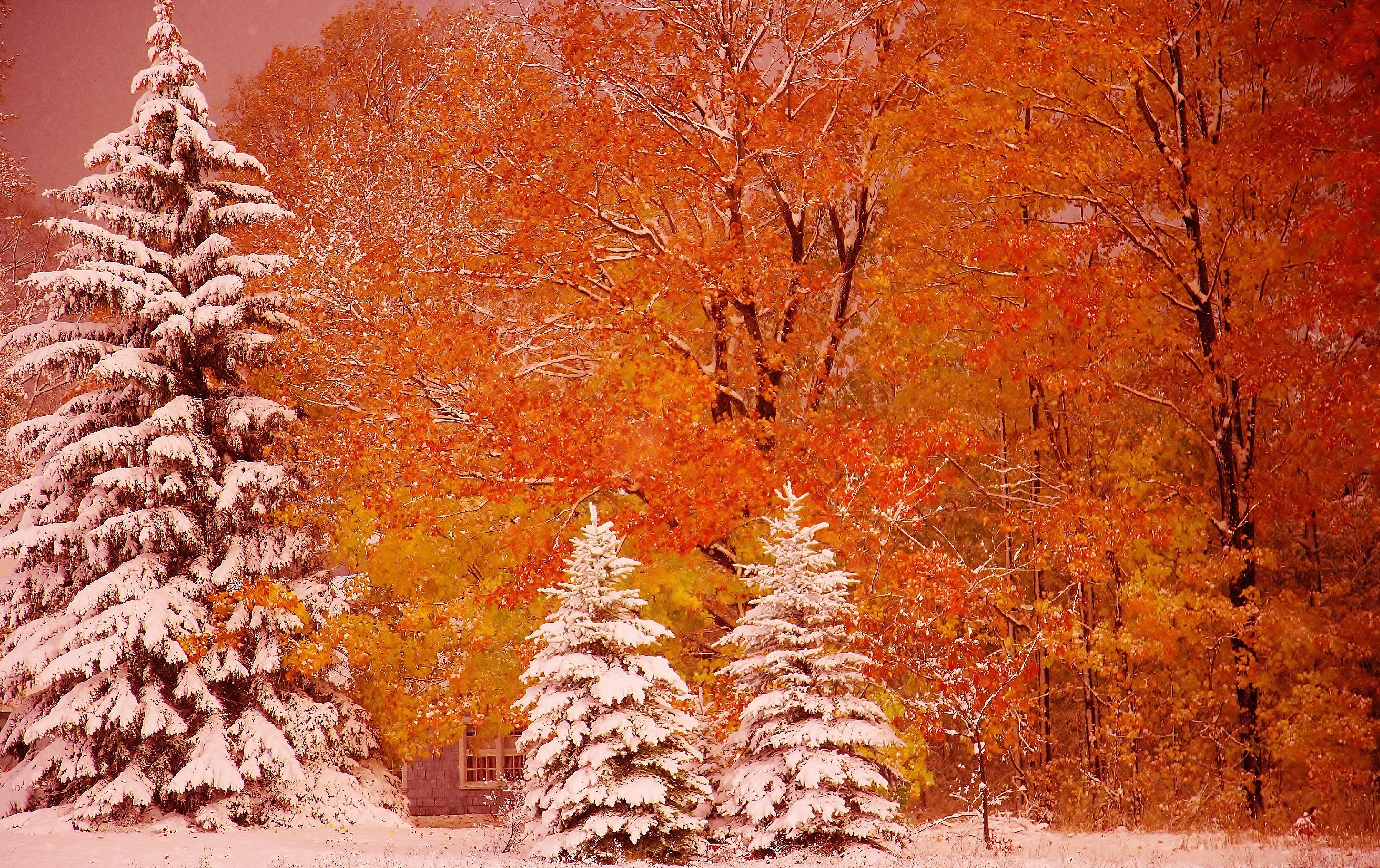 4975x3130 First Snow 4k Ultra HD Wallpaper