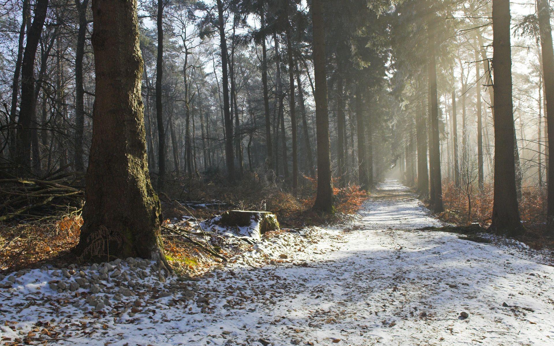 1920x1200 The first snow fell wallpaper and image, picture, photo