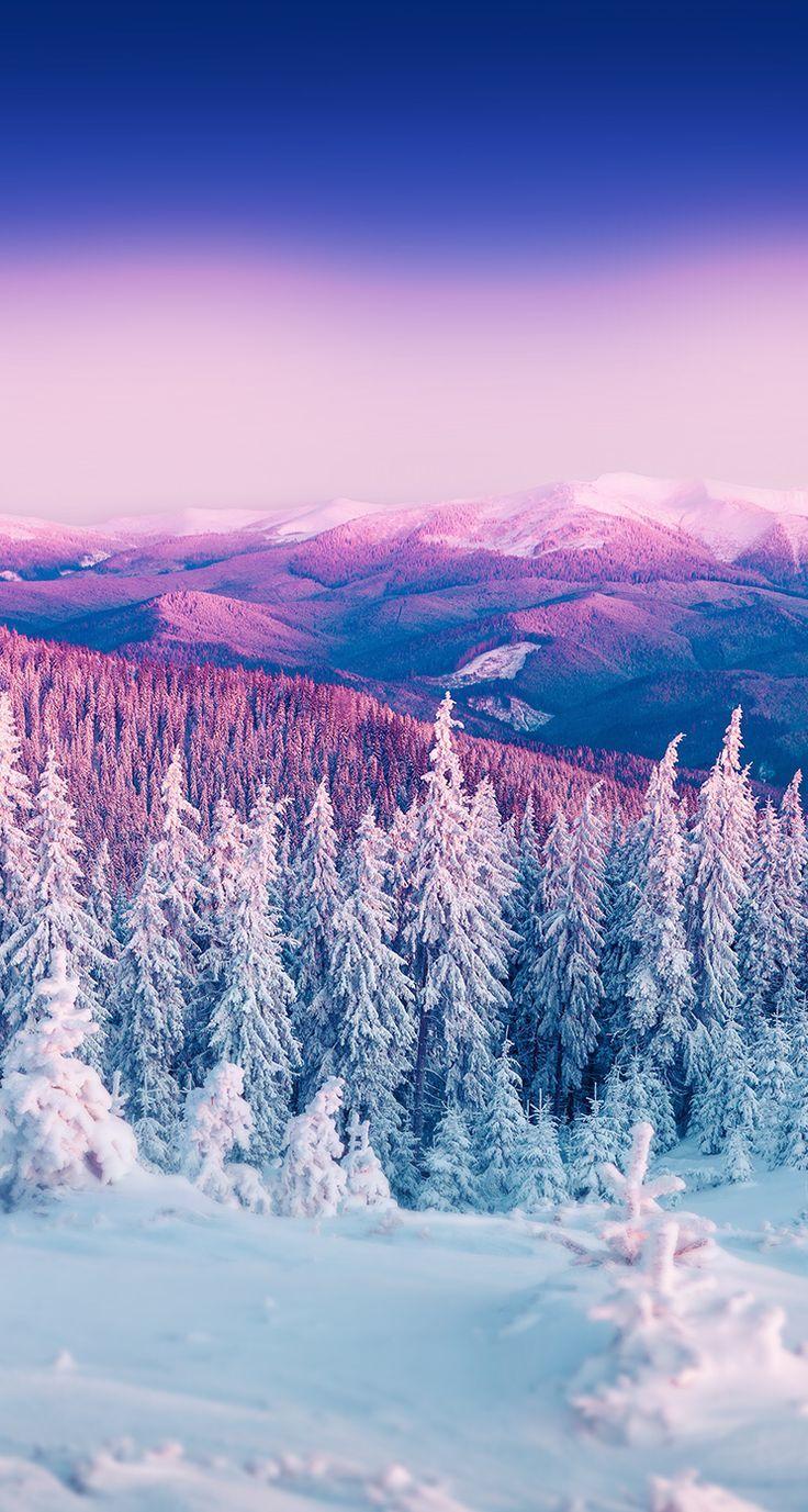 736x1377 First Snow wallpaper First Snow. Landscape wallpaper, iPhone wallpaper winter, Wallpaper iphone christmas