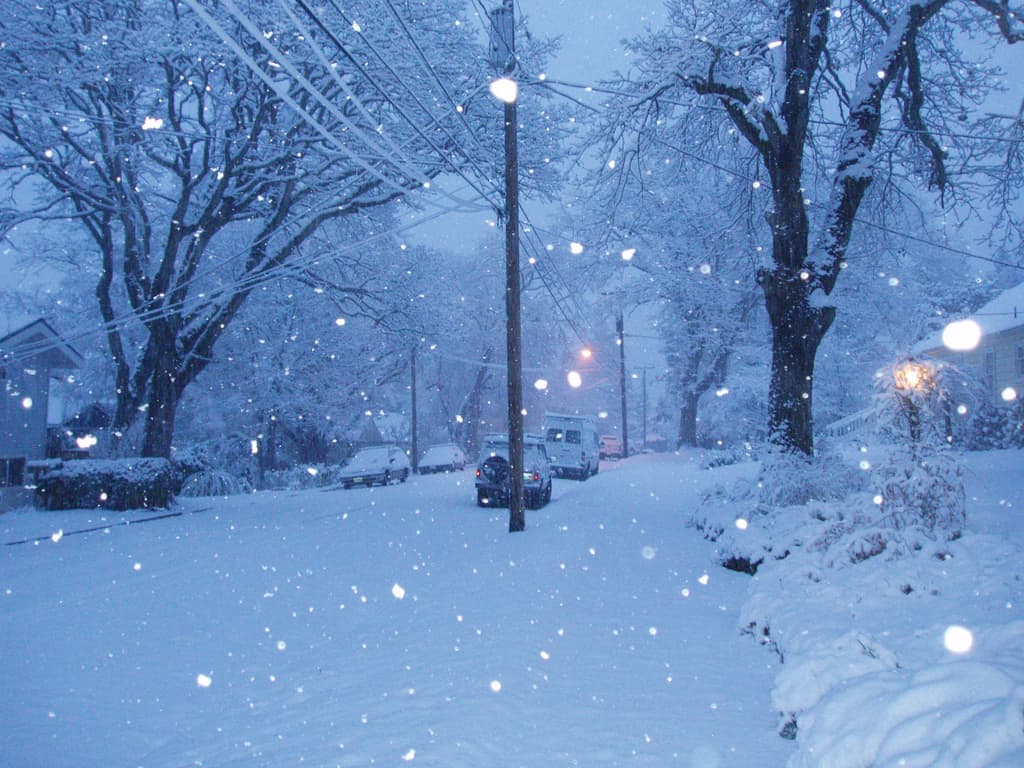 1024x768 First Snow Journal: The Twelve