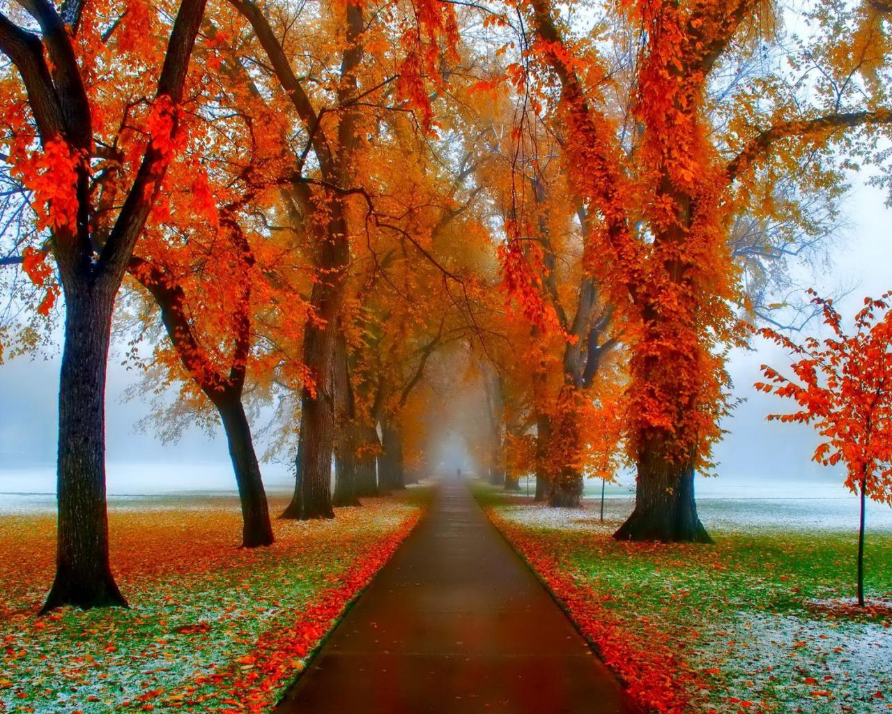 1280x1024 First Snow & Late Autumn desktop PC and Mac wallpaper