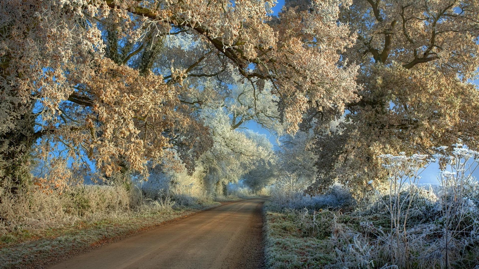 1920x1080 The first snow wallpaper (phone background)