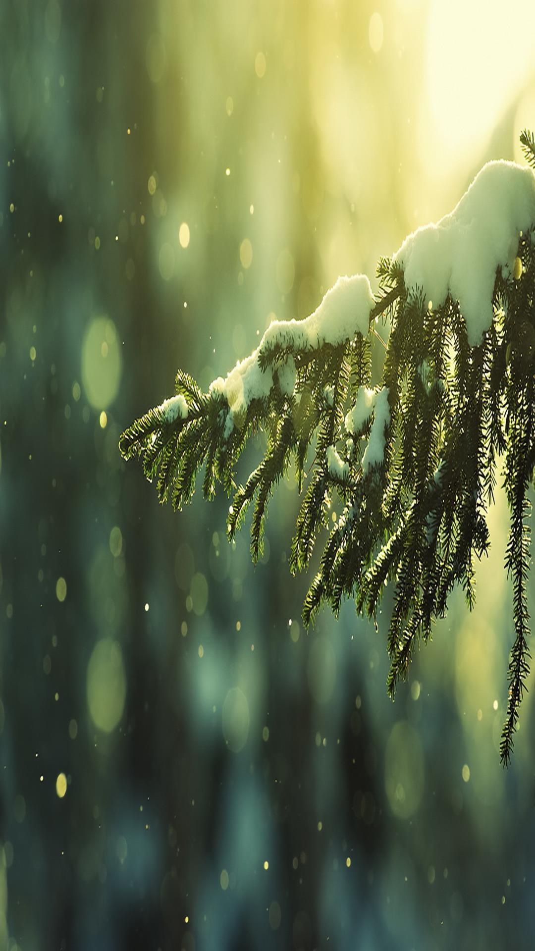 1080x1920 First Snow
