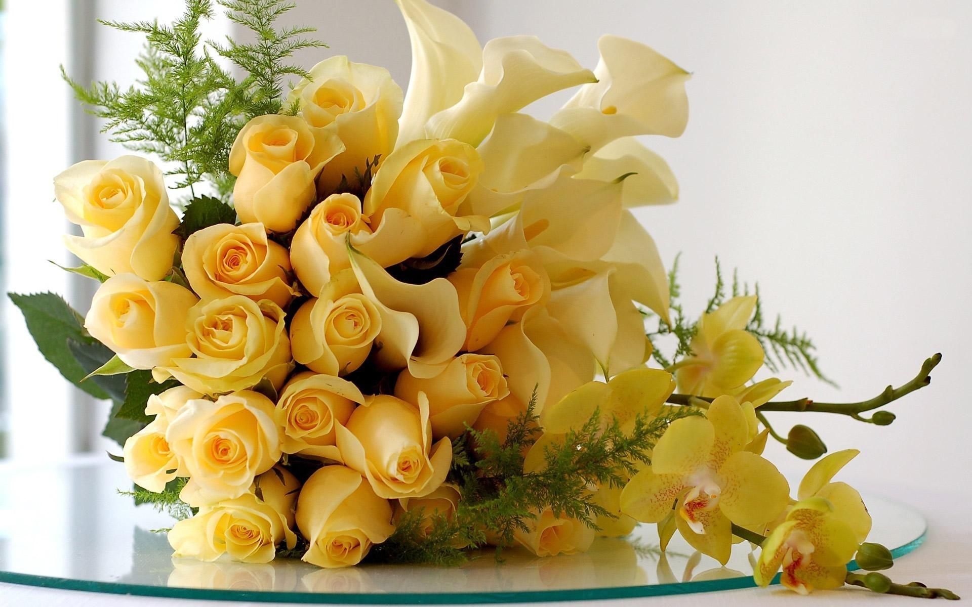 Yellow Rose Aesthetic Desktop Wallpapers Top Free Yellow Rose
