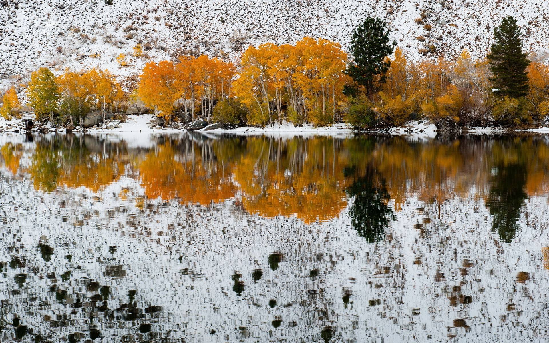 1920x1200 Autumn trees on the background of the first snow reflected in the water wallpaper and image, picture, photo