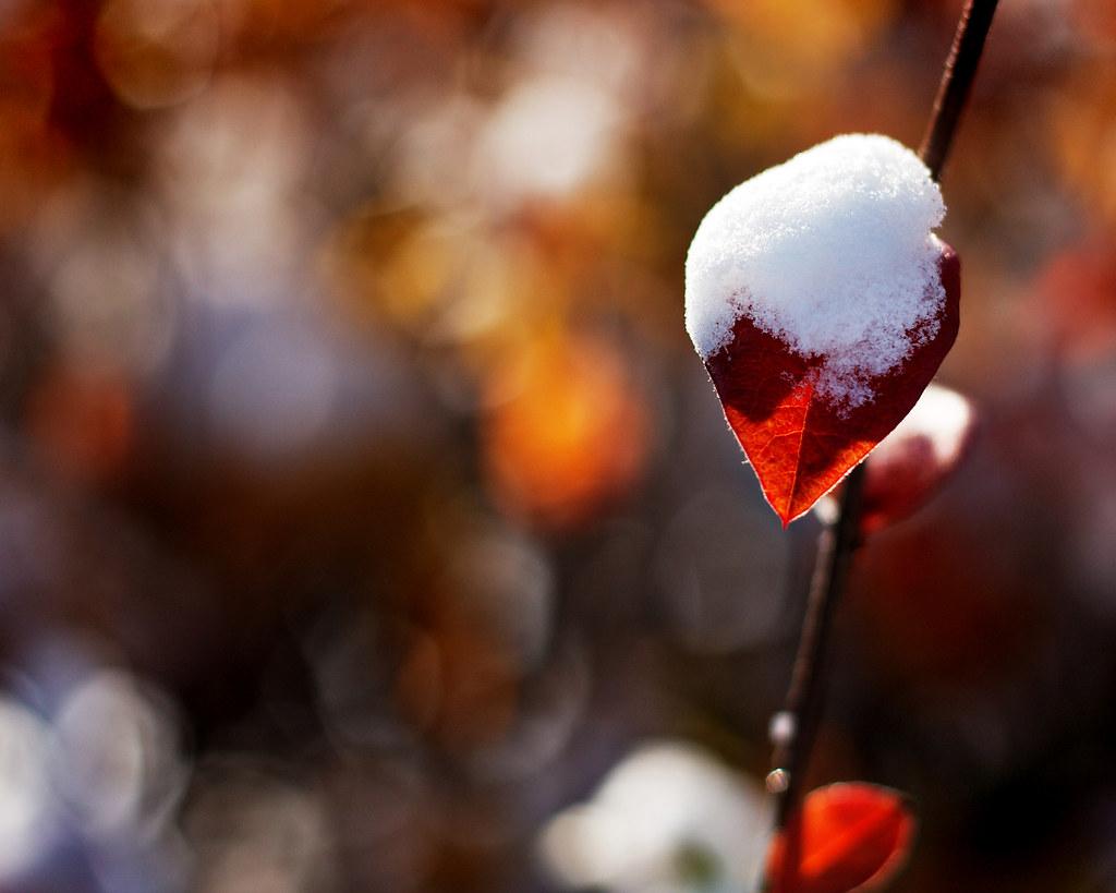 1024x819 First Snow Wallpaper 1280x1024