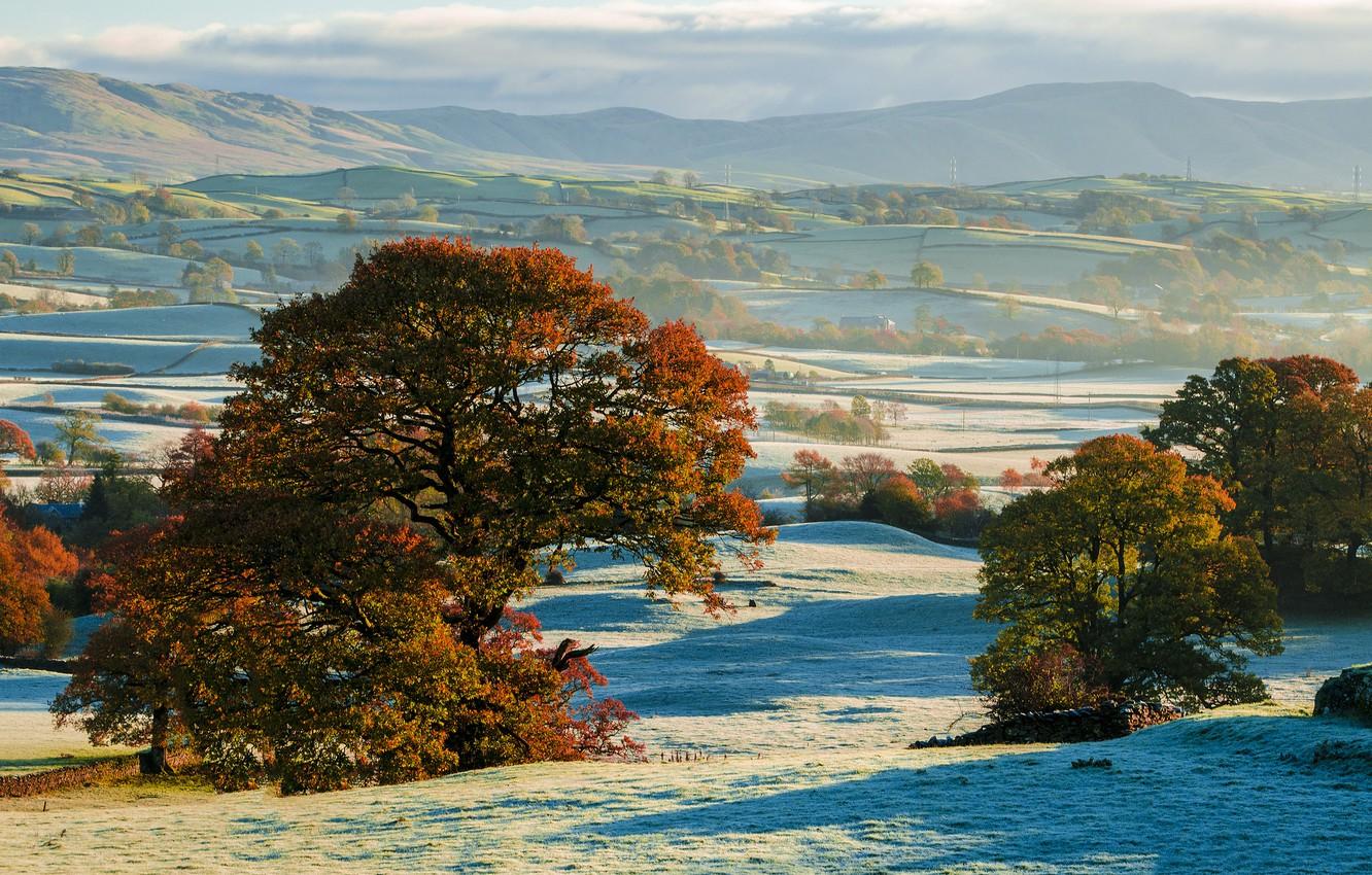 1332x850 Wallpaper frost, autumn, trees, hills, field, the first snow image for desktop, section пейзажи