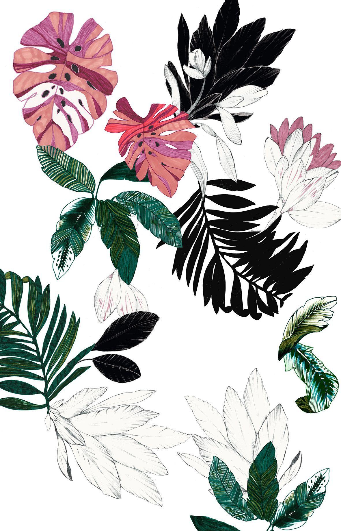 1181x1837 camilla frances prints. book illustration