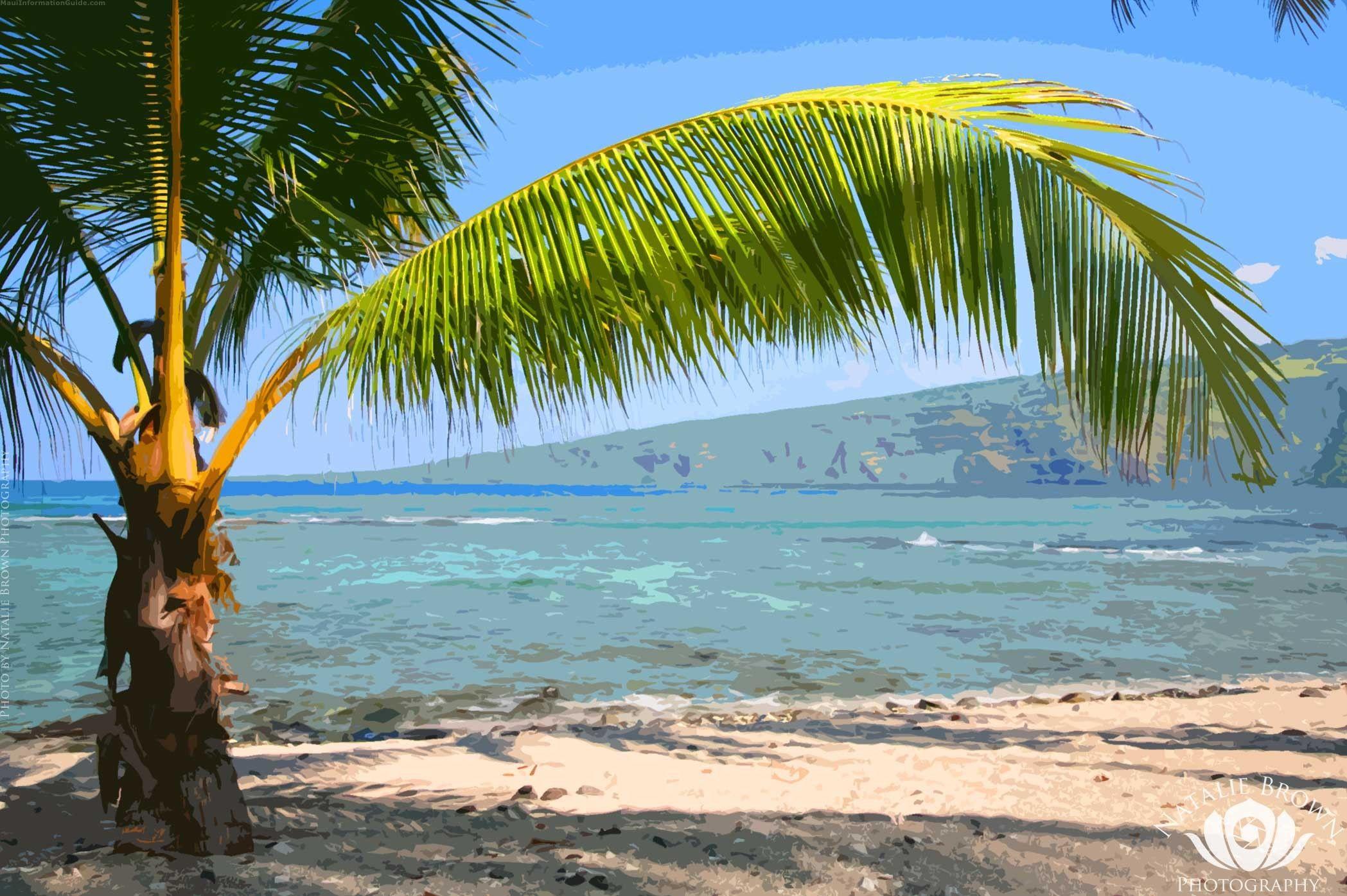 2097x1395 Hawaiian backgroundDownload free stunning HD wallpaper