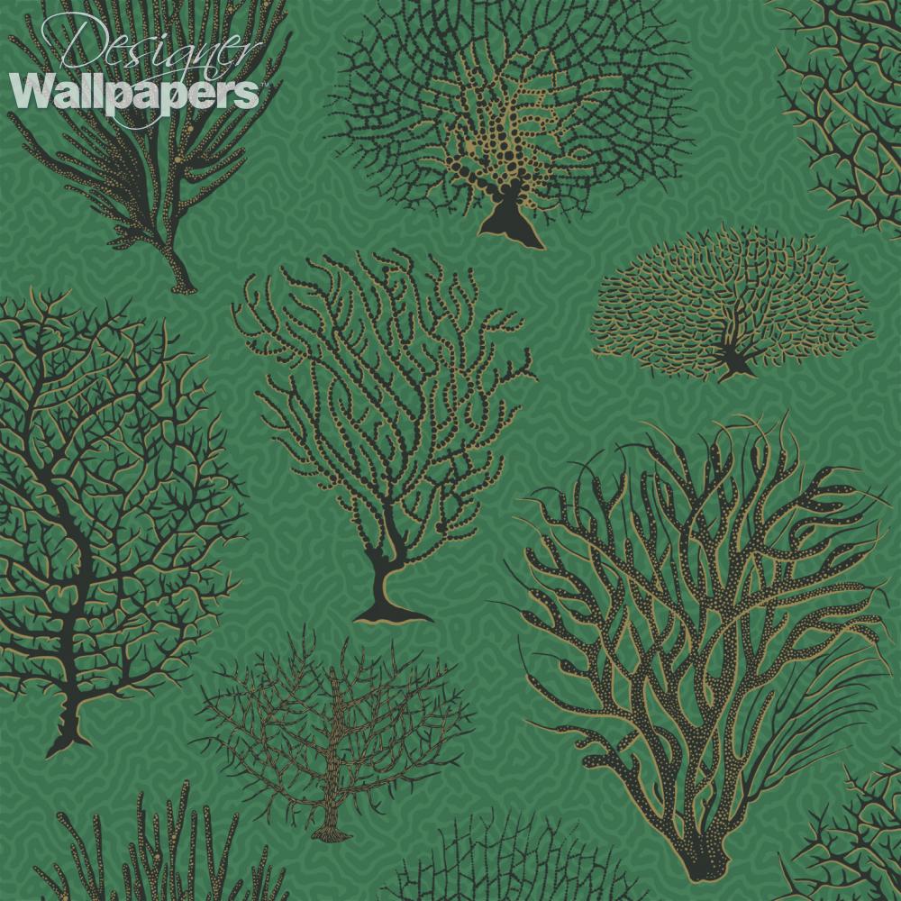 1000x1000 Buy Cole and Son Seafern Next Day Delivery. Designer Wallpaper ™