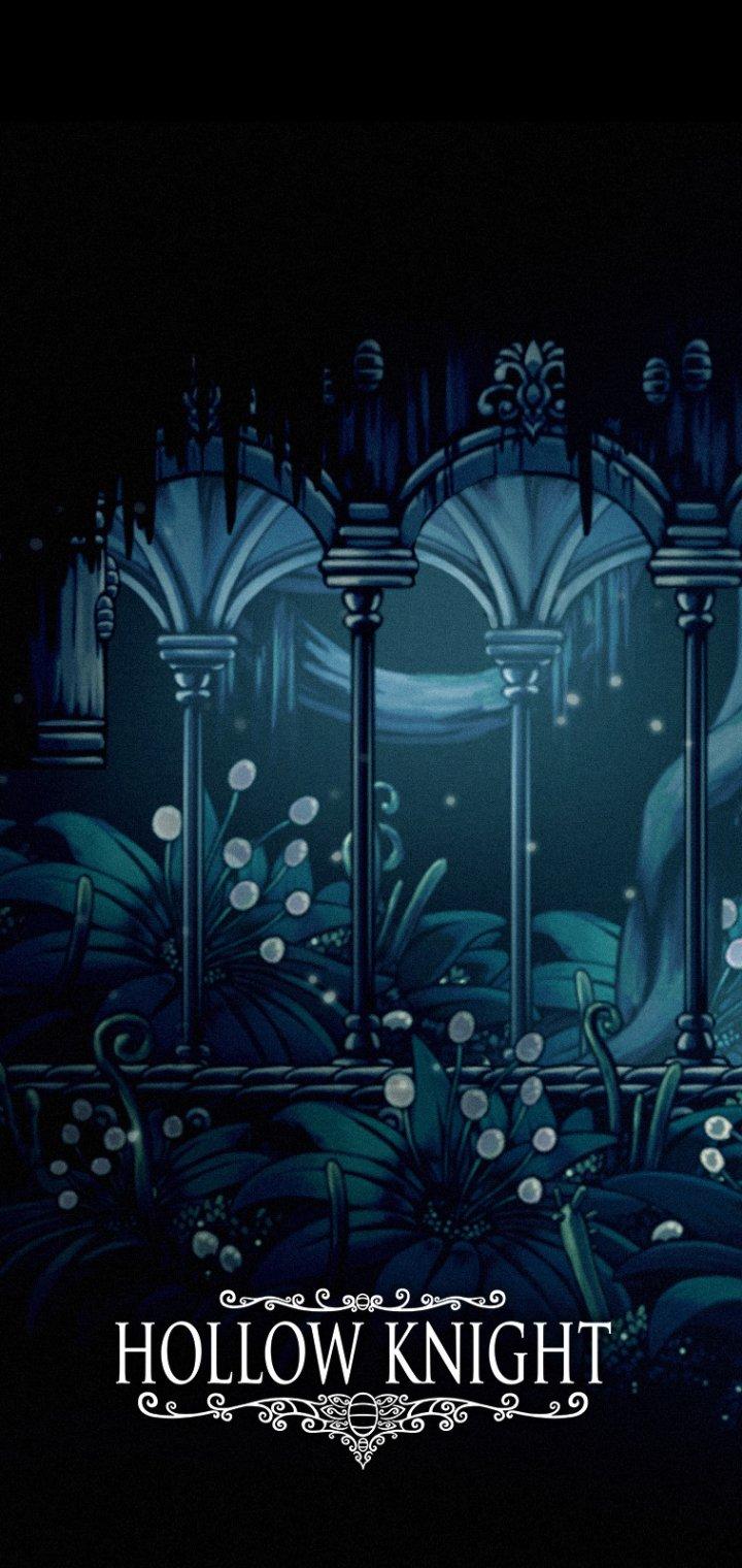 720x1520 Video Game Hollow Knight
