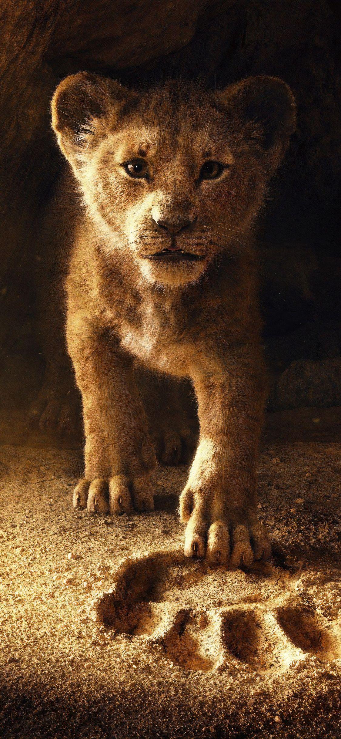 1125x2436 Lion King iPhone Wallpaper