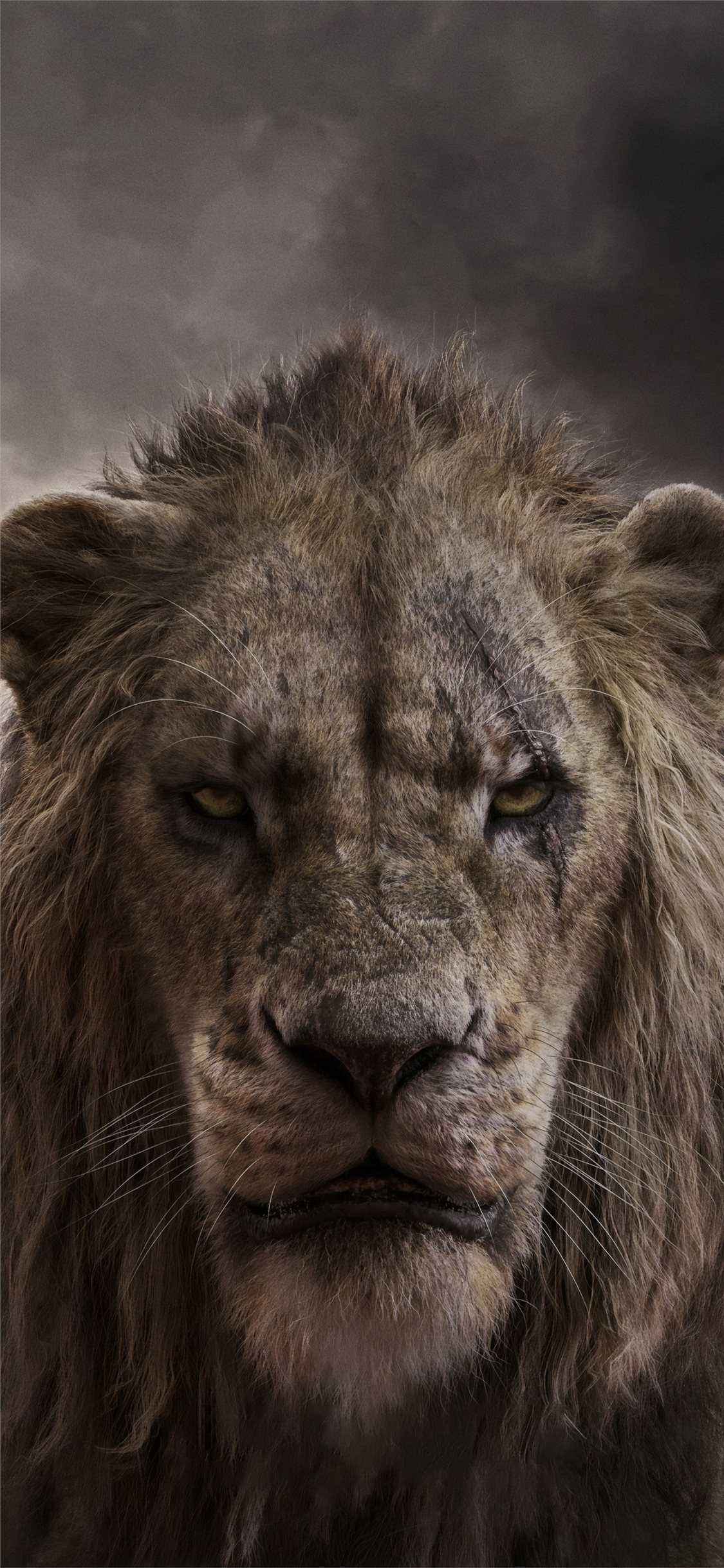 1125x2436 Lion Wallpaper