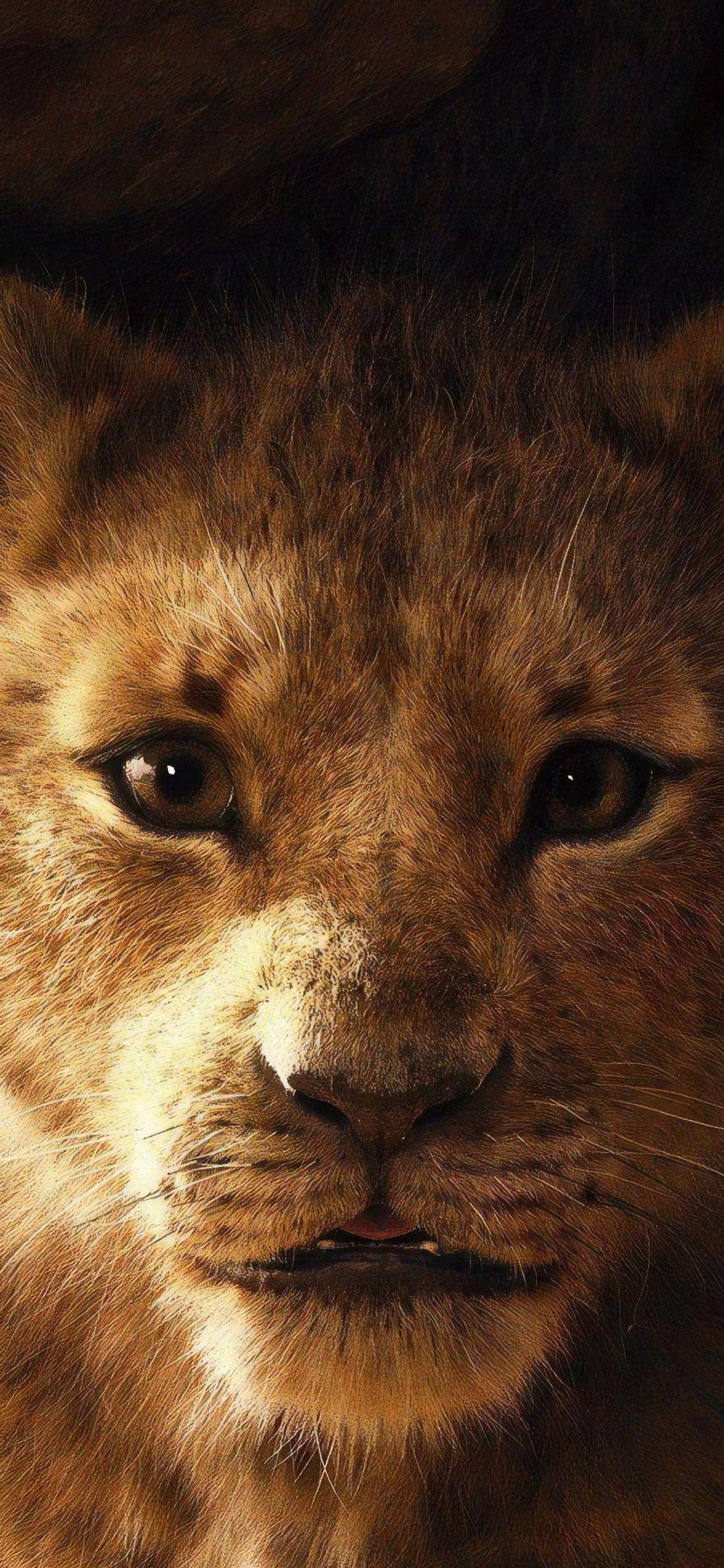 1125x2436 Lion iPhone X Wallpaper