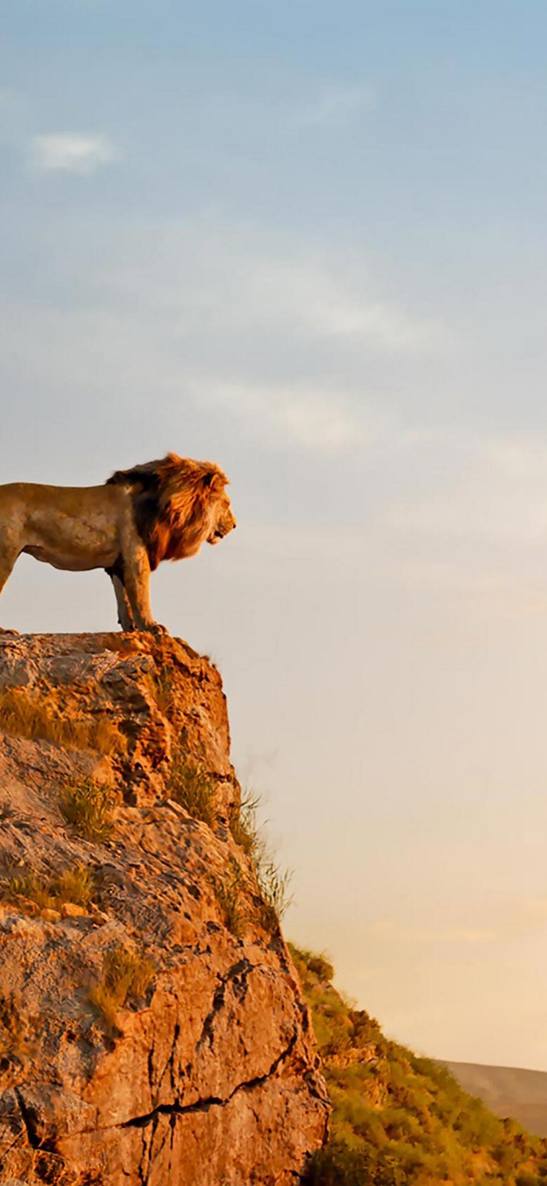 1125x2436 The Lion King 2019 Mufasa Simba 4K Wallpaper