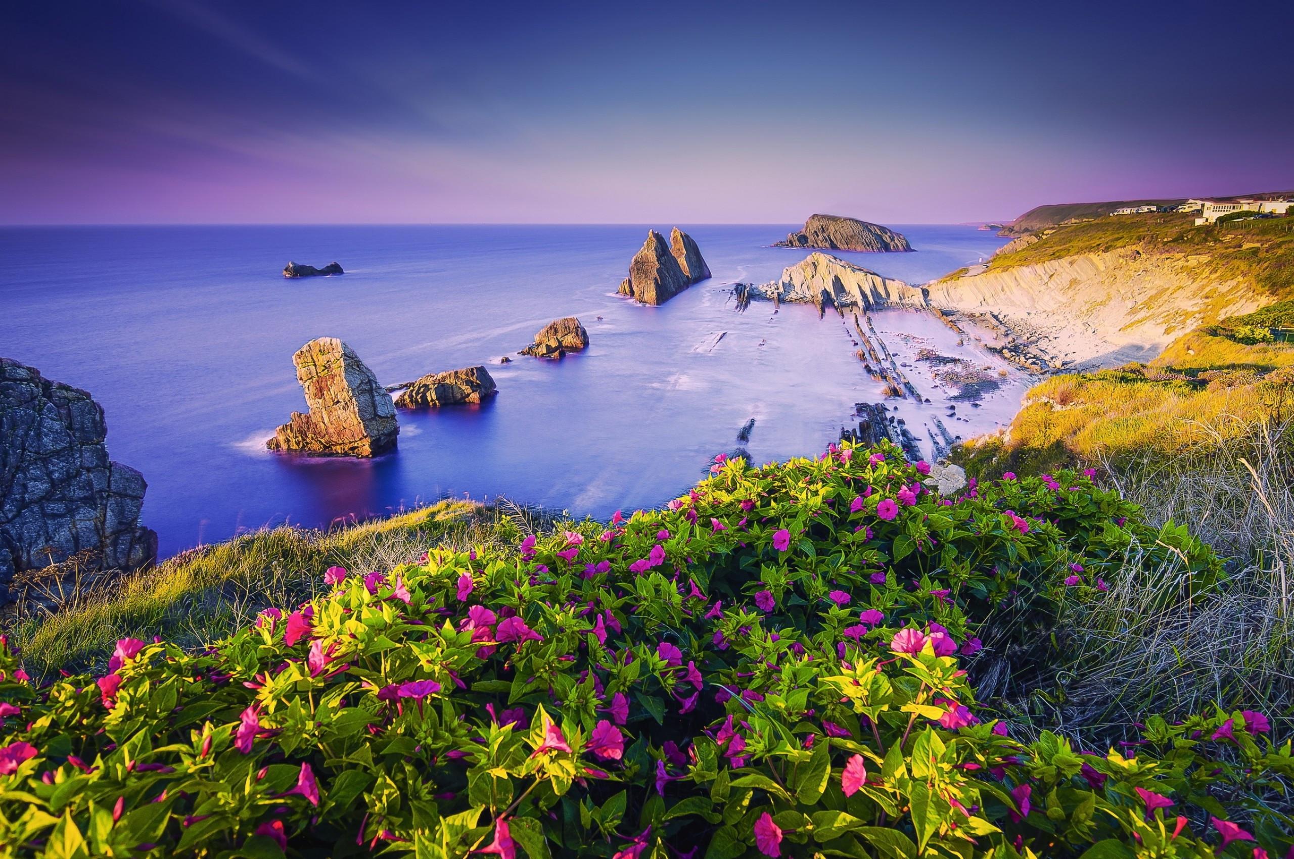 2560x1700 Download 2560x1700 Costa Quebrada, Spain, Ocean, Flowers Wallpaper for Chromebook Pixel