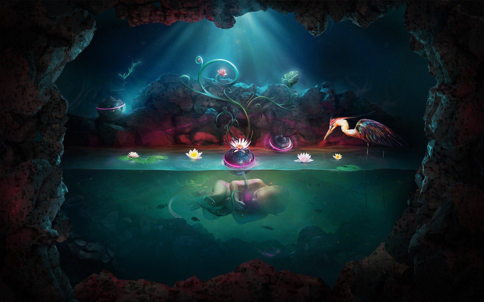 1920x1200 Underwater Lotus Flower Roots