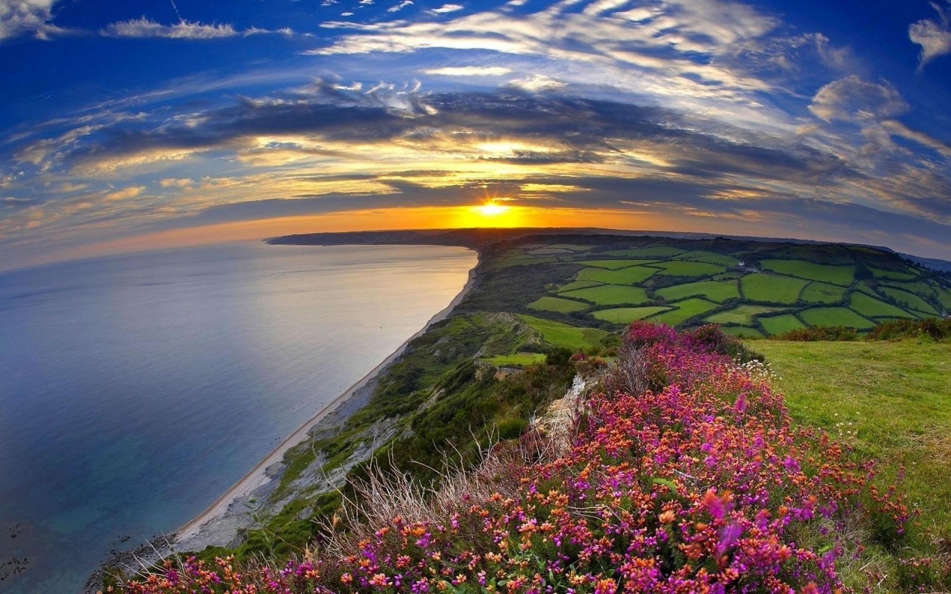 1920x1200 Lovely Vale Ocean Flowers Sun wallpaper. Lovely Vale Ocean Flowers Sun