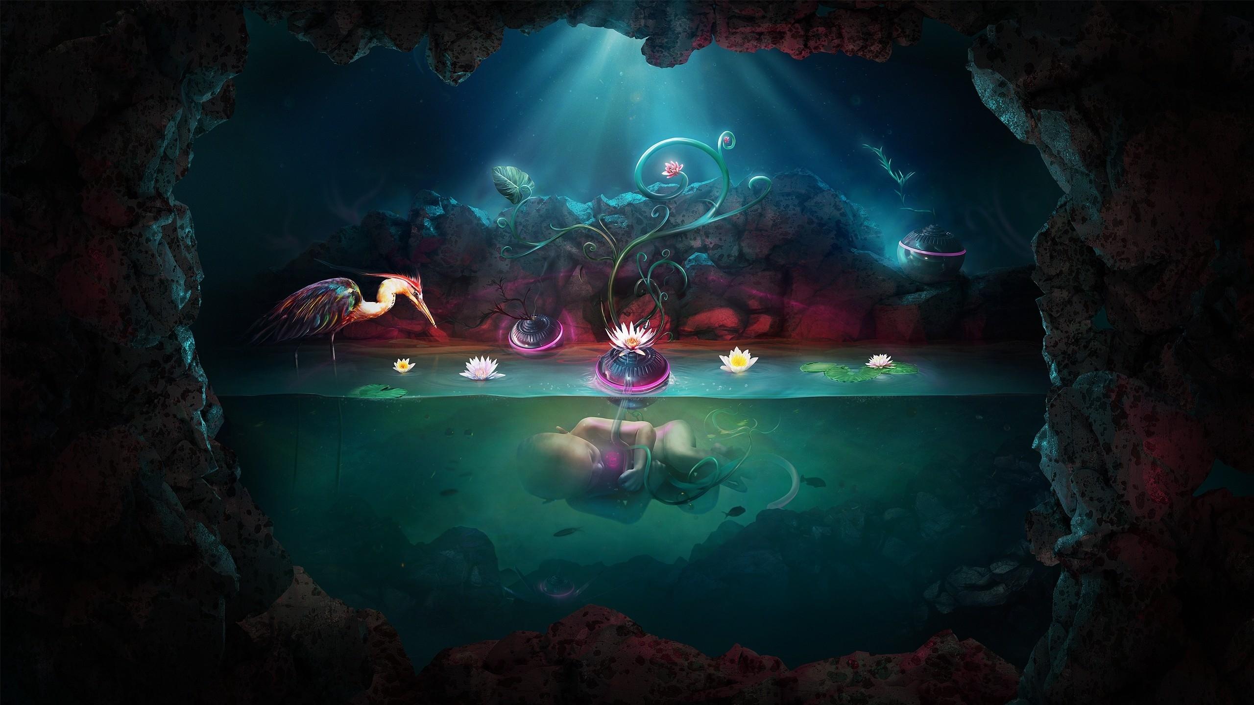 2560x1440 water nature trees flowers baby children plants fantasy art artwork underwater herons lotus tagit