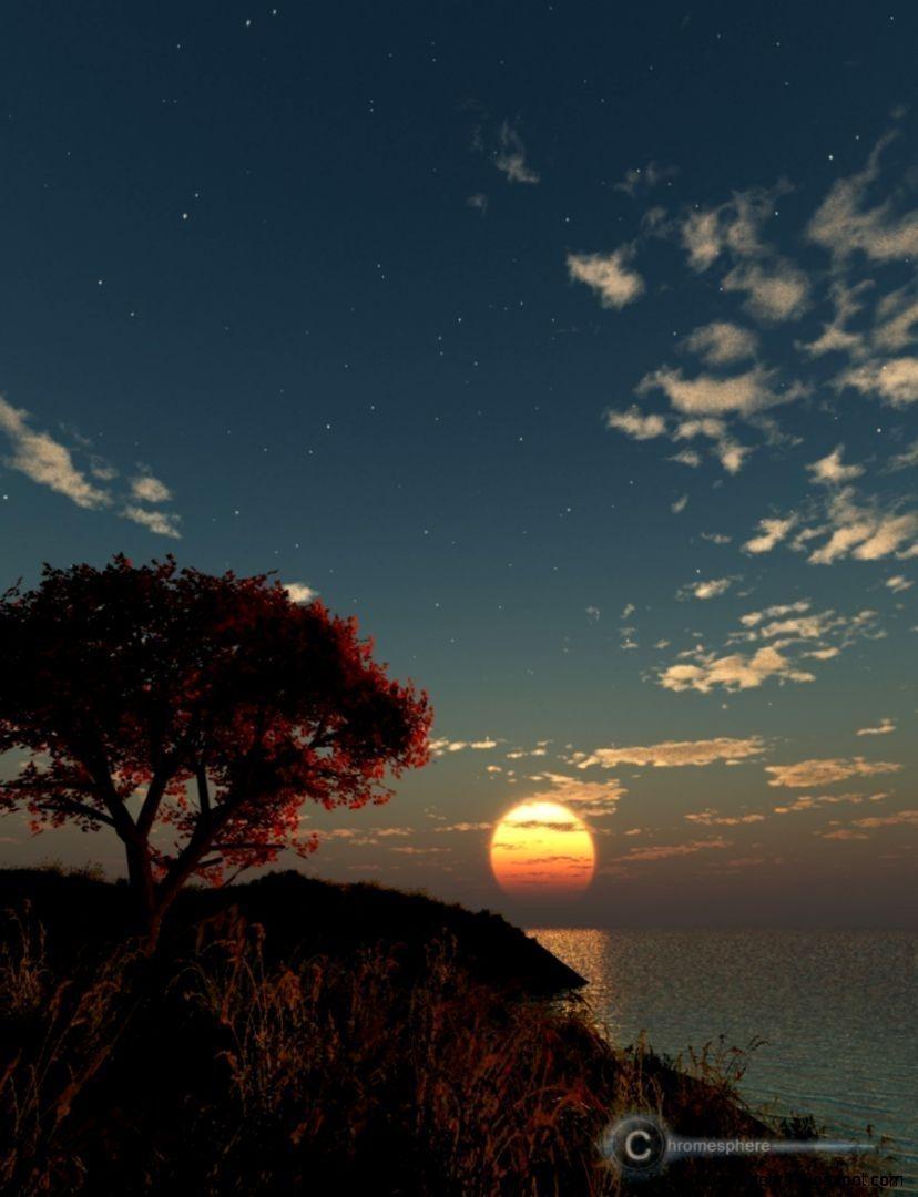 828x1080 Vertical Split Screen Wallpaper