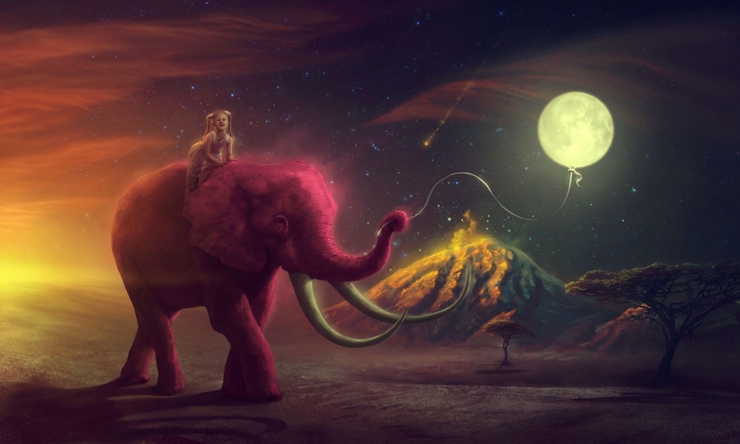 2500x1500 a girl riding a pink elephant HD Wallpaper