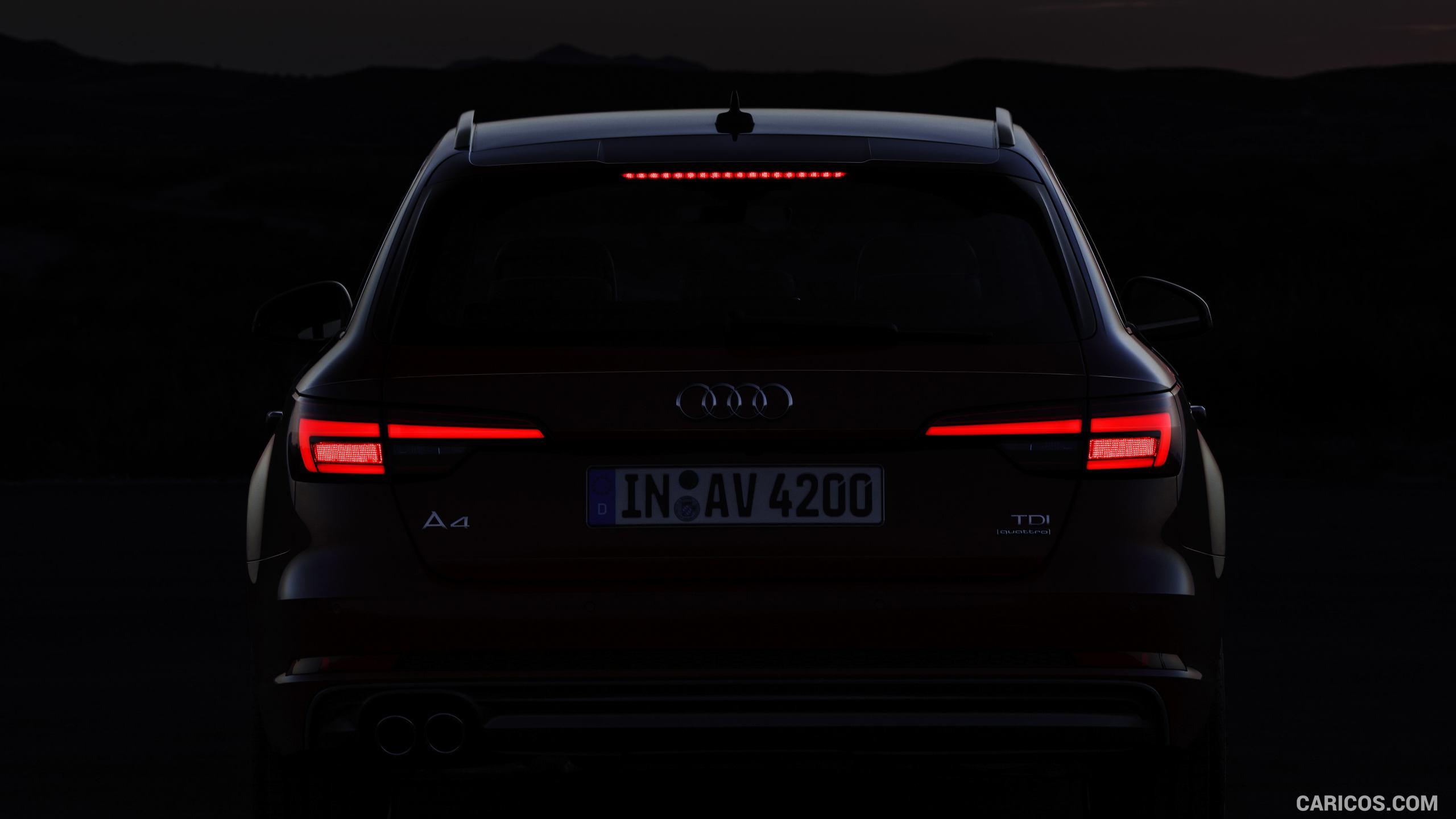 2560x1440 Audi A4 Avant Tail Lights