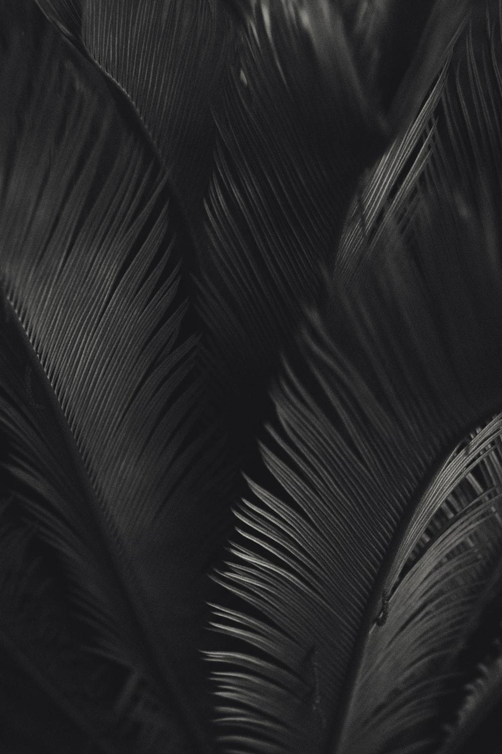 1000x1500 Neutral Background best free background, color, wallpaper and website photo