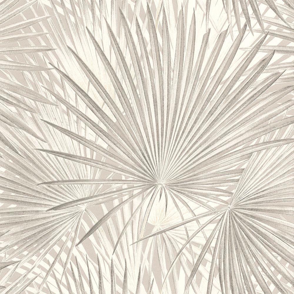 1000x1000 Neutral Wallpaper