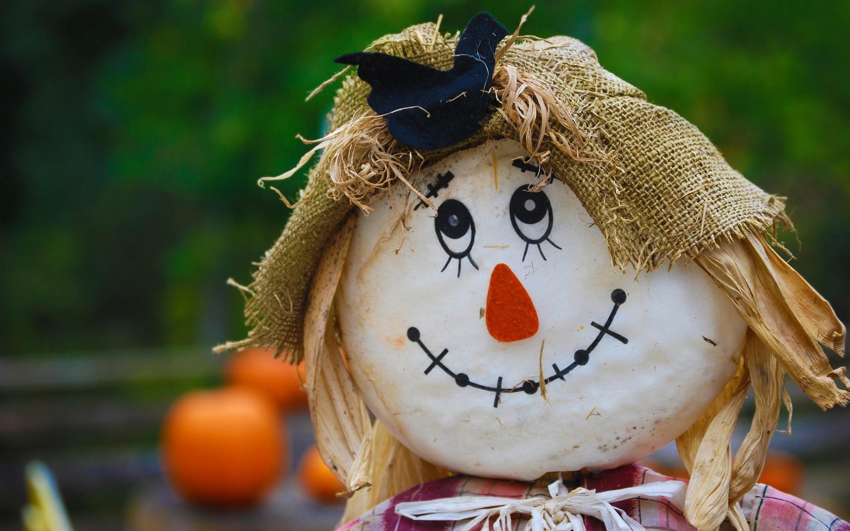 1680x1050 Smiling Scarecrow wallpaperx1050