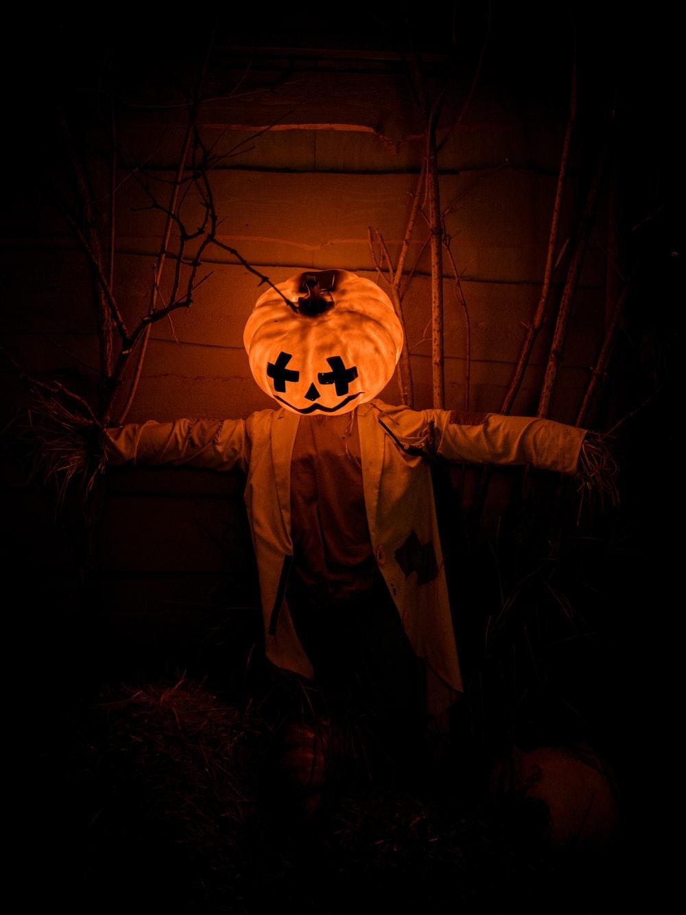1000x1333 Halloween Wallpaper: Free HD Download [HQ]