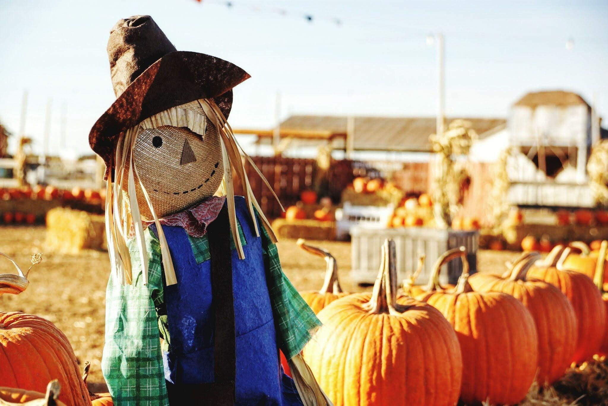 2048x1368 How to Make a Scarecrow DIY Scarecrow Crafts