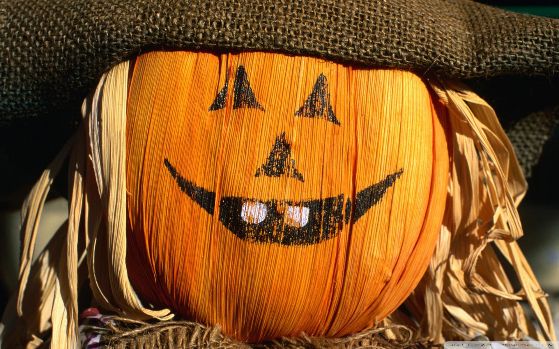 1920x1200 Festive Scarecrow Ultra HD Desktop Background Wallpaper for : Widescreen & UltraWide Desktop & Laptop