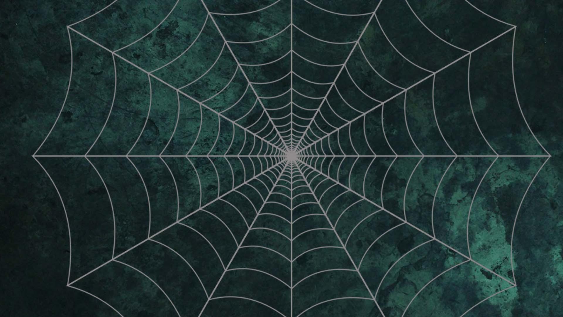 1920x1080 Halloween Spider Web Desktop Wallpaper Wallpaper Spider Web HD Wallpaper
