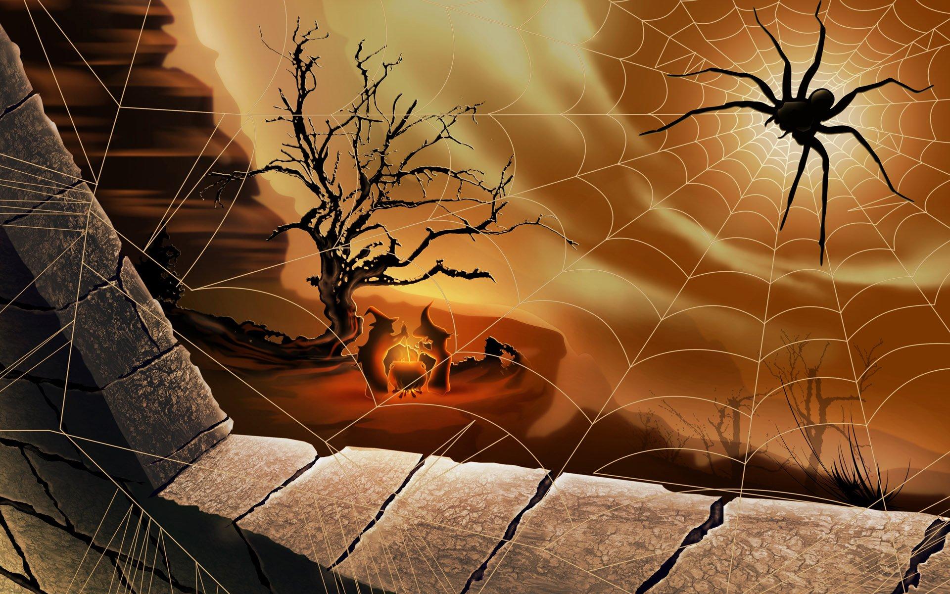 1920x1200 Spider Desktop Wallpaper