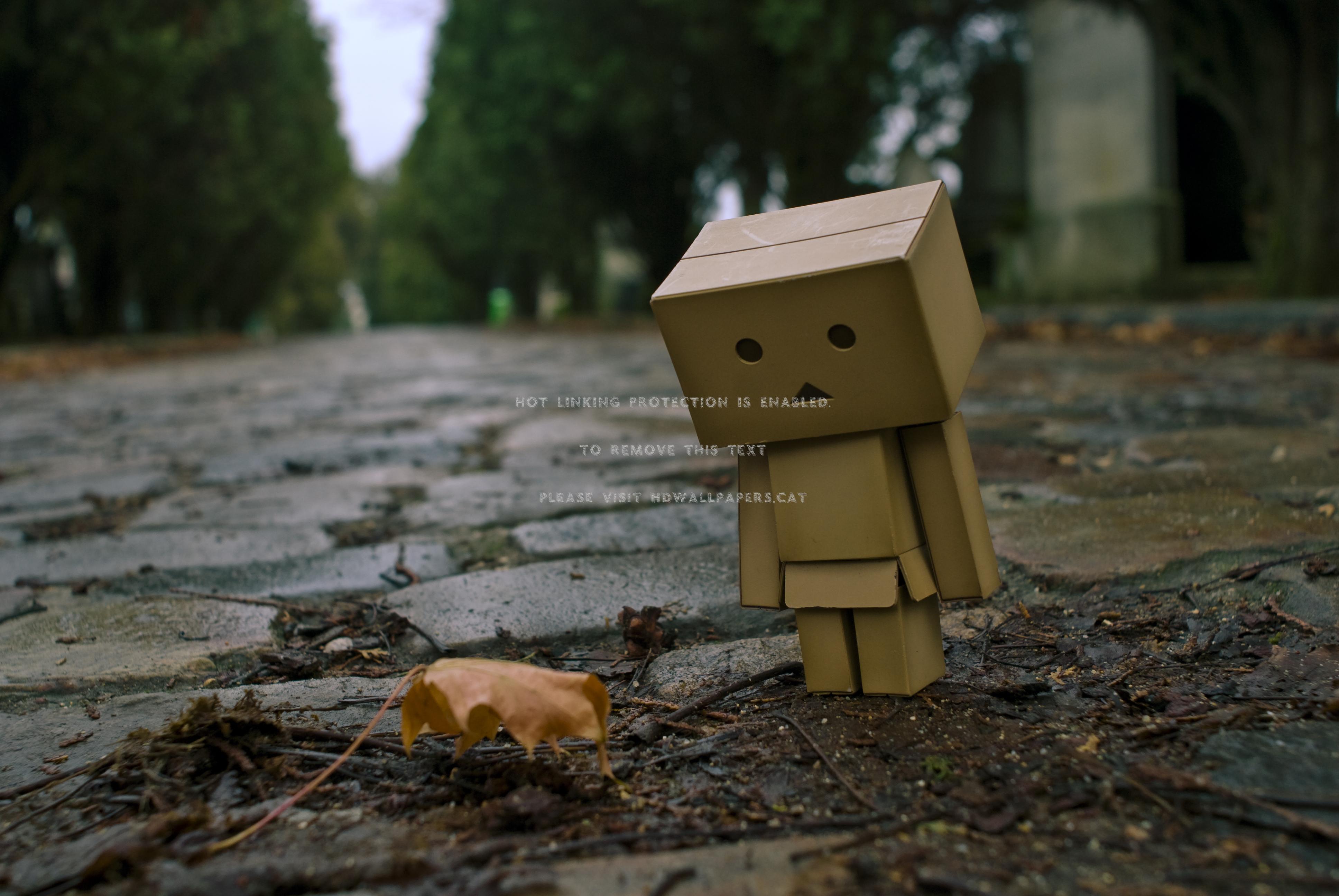 3872x2592 leaf with danbo robot abstract