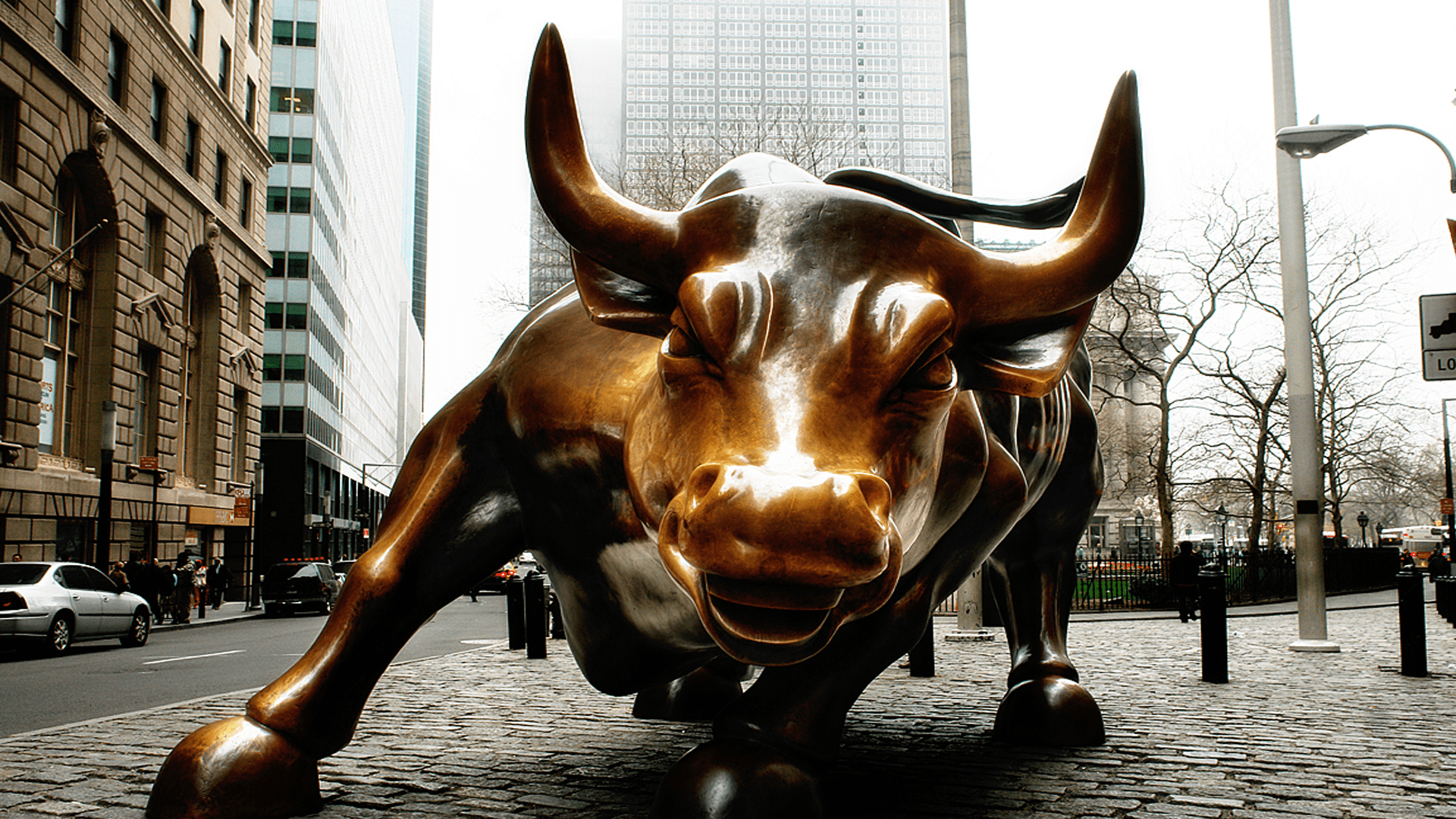 Free Stock Photo of Bull versus Bear  Financial Markets Concept  Stock  market for beginners Stock market Financial markets