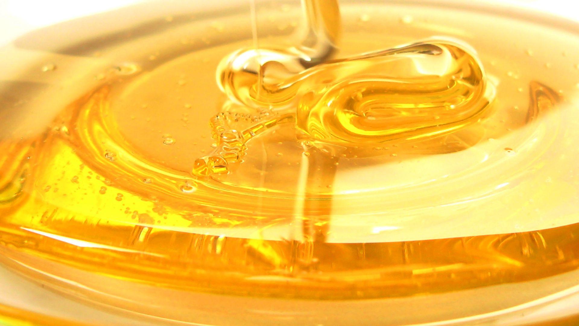 1920x1080 Honey wallpaperx1080