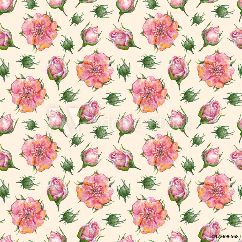 1000x1000 Watercolor Seamless Floral Pattern On Pastel Background Pink Rose Flowers And Buds With Green Leaves On White Background Watercolor Flowers Pattern Seamless Design For Print, Textile, Fabric, Paper Wall Mural Irin Fierce