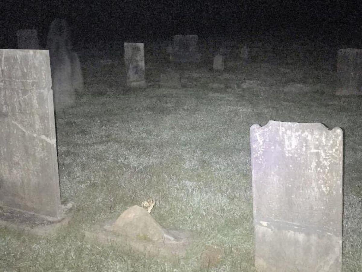 1200x900 Ghost' Lurks Over Grave In Bone Chilling Image From 'most Haunted' Cemetery