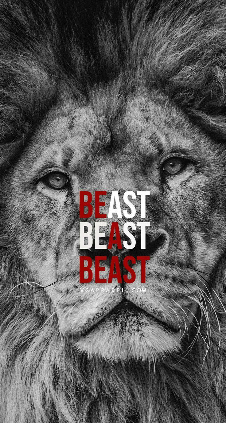 736x1377 Workout quotes
