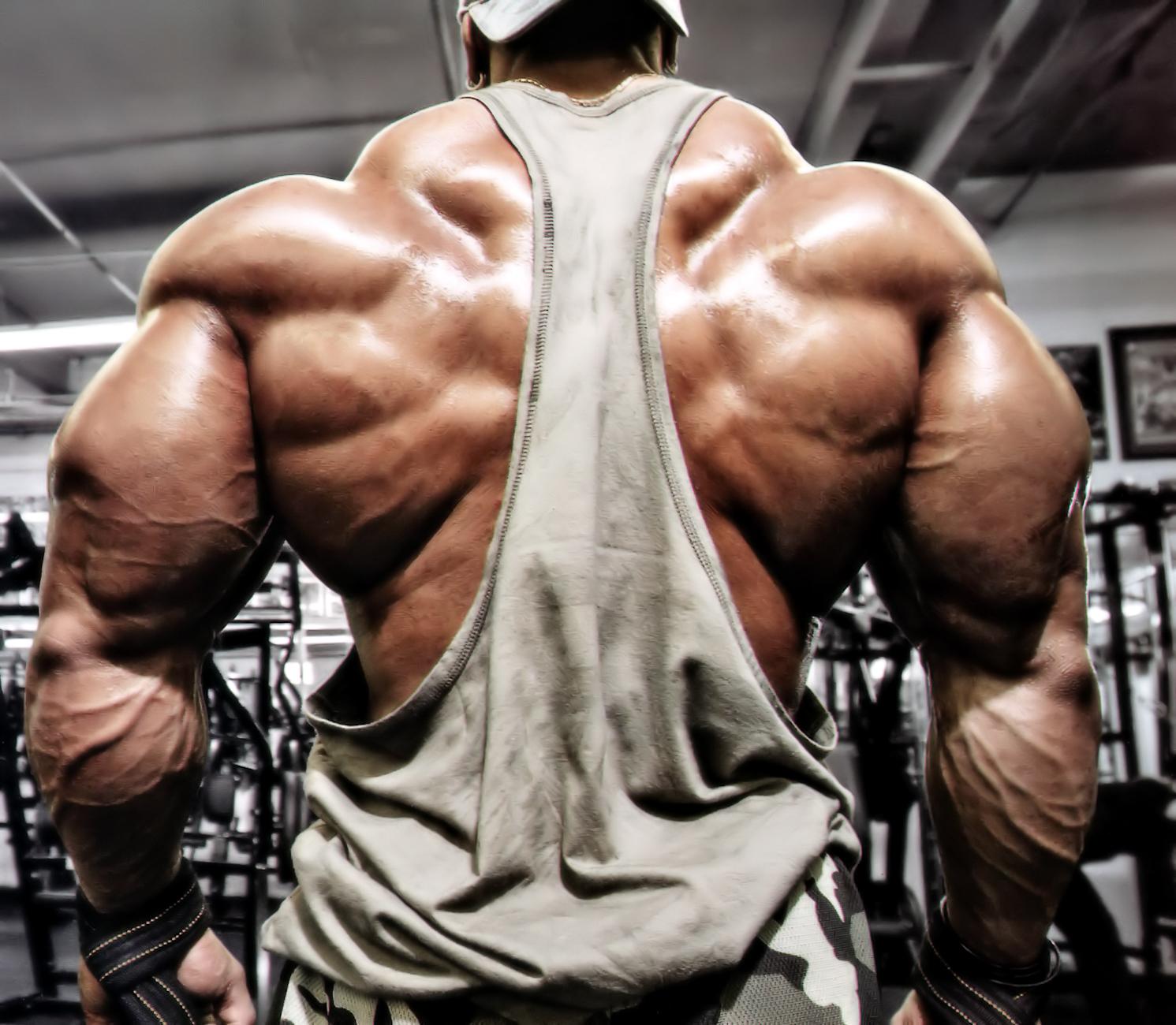 1491x1300 The Beast' of bodybuilding- Winklaar set to arrive Nepal Himalayan Times's No.1 English Daily Newspaper. Nepal News, Latest Politics, Business, World, Sports, Entertainment, Travel, Life Style News