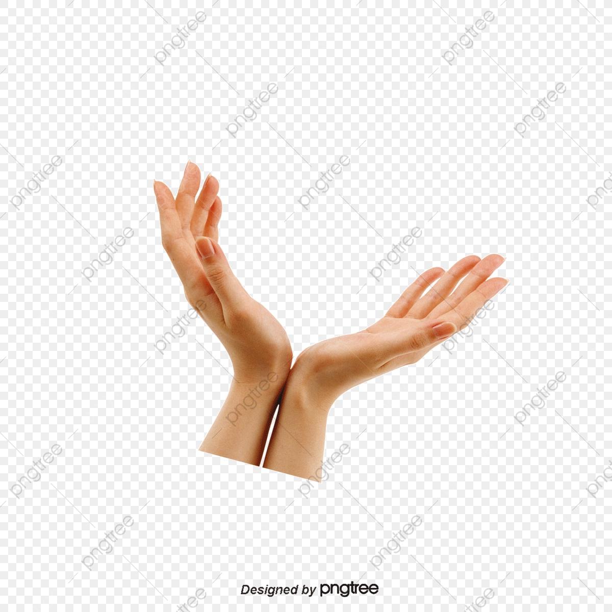 1200x1200 Hand PNG Image. Vector and PSD Files. Free Download on Pngtree