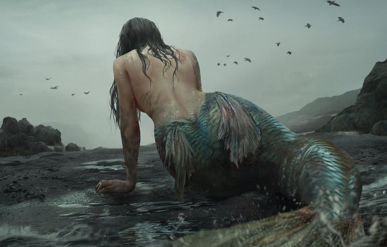 1332x850 Wallpaper mermaid, monster, scales, fins, mermaid, rocky coast, cloudy sky, dark place, black crows, by Akiya image for desktop, section фантастика