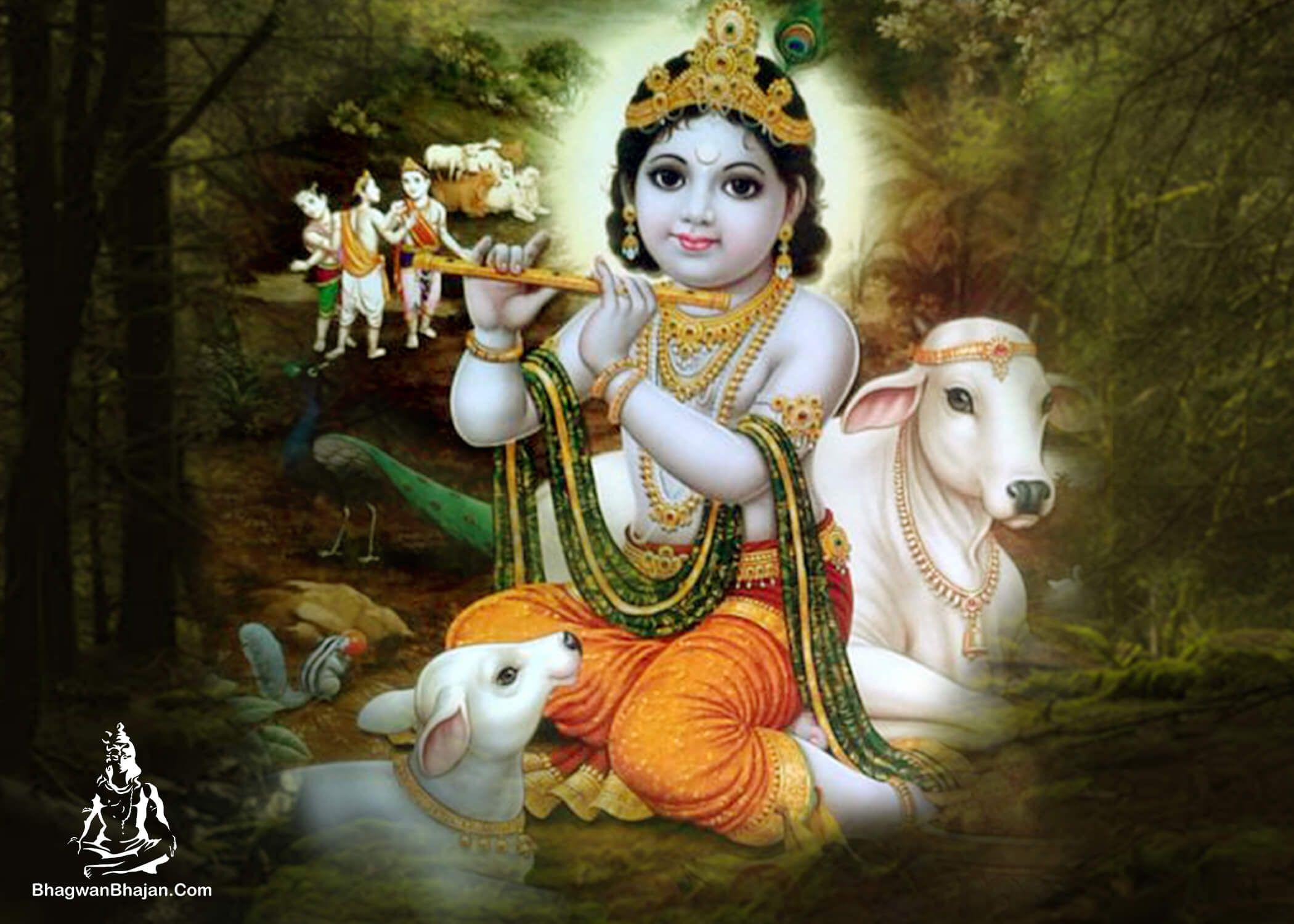 Krishna and Cow Wallpapers - Top Free Krishna and Cow Backgrounds -  WallpaperAccess