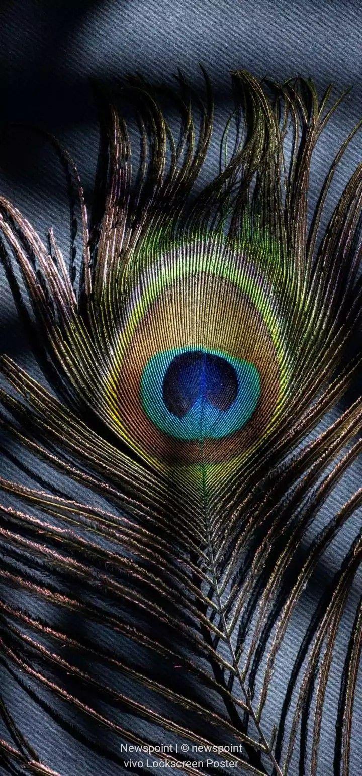 720x1544 iPhone Krishna Wallpaper