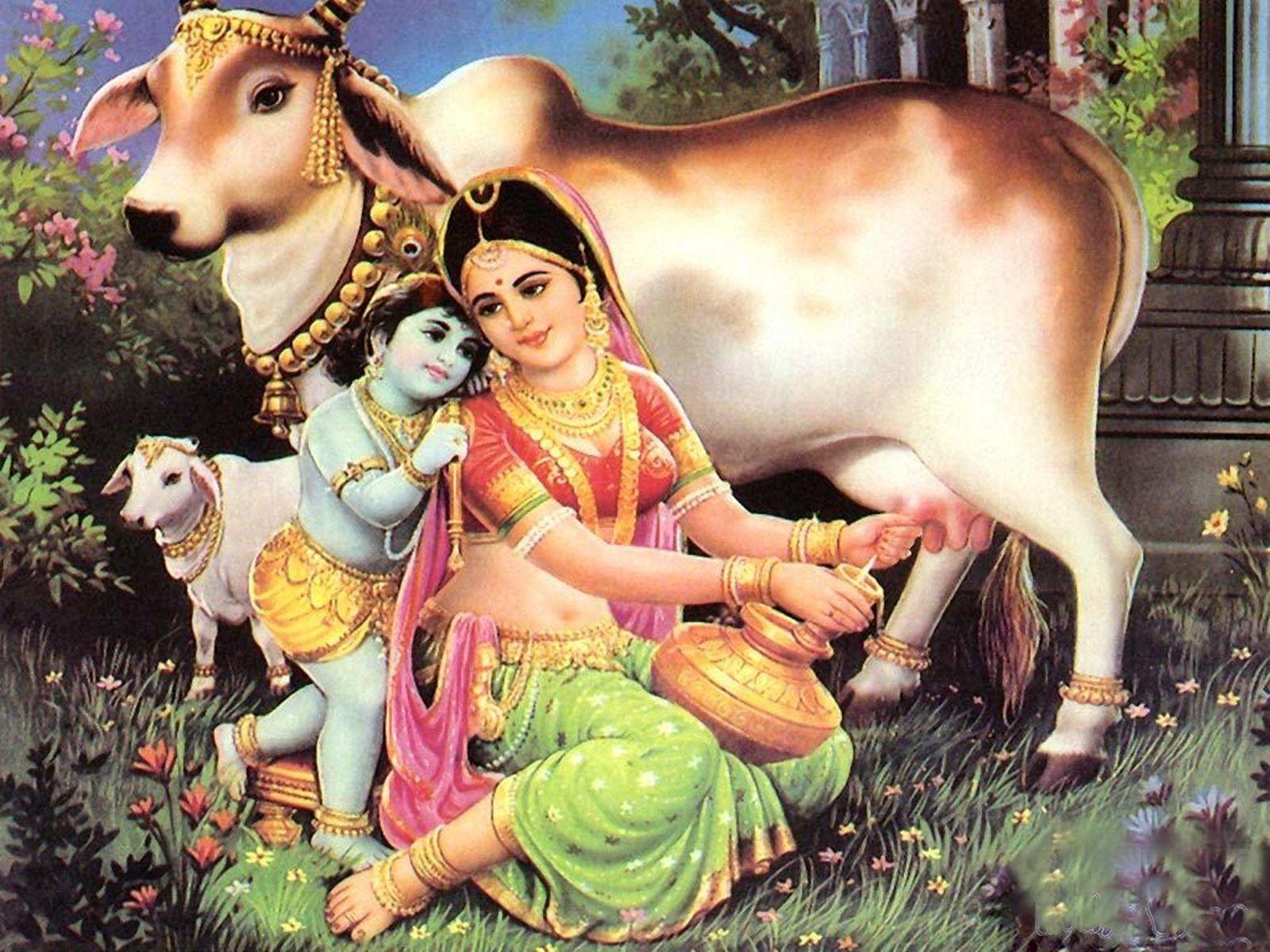  Baby Child Lord Krishna Images With Cow  MyGodImages