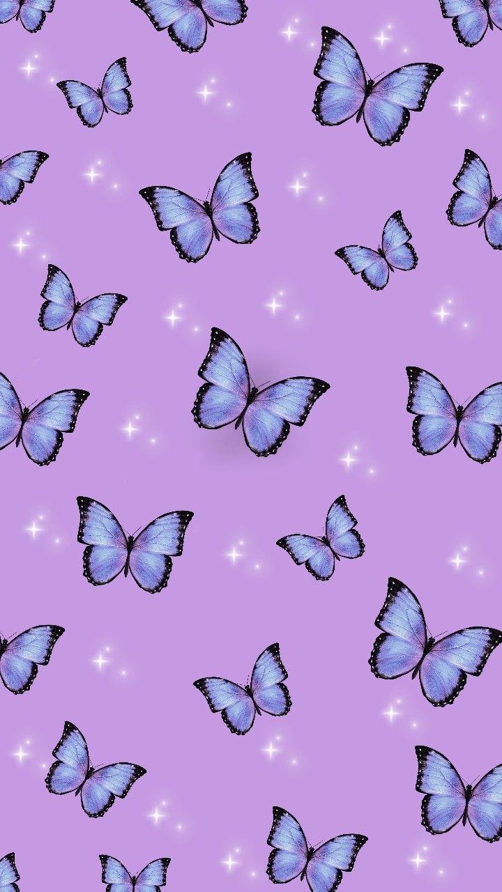 Purple Butterfly Background Images  Free Download on Freepik