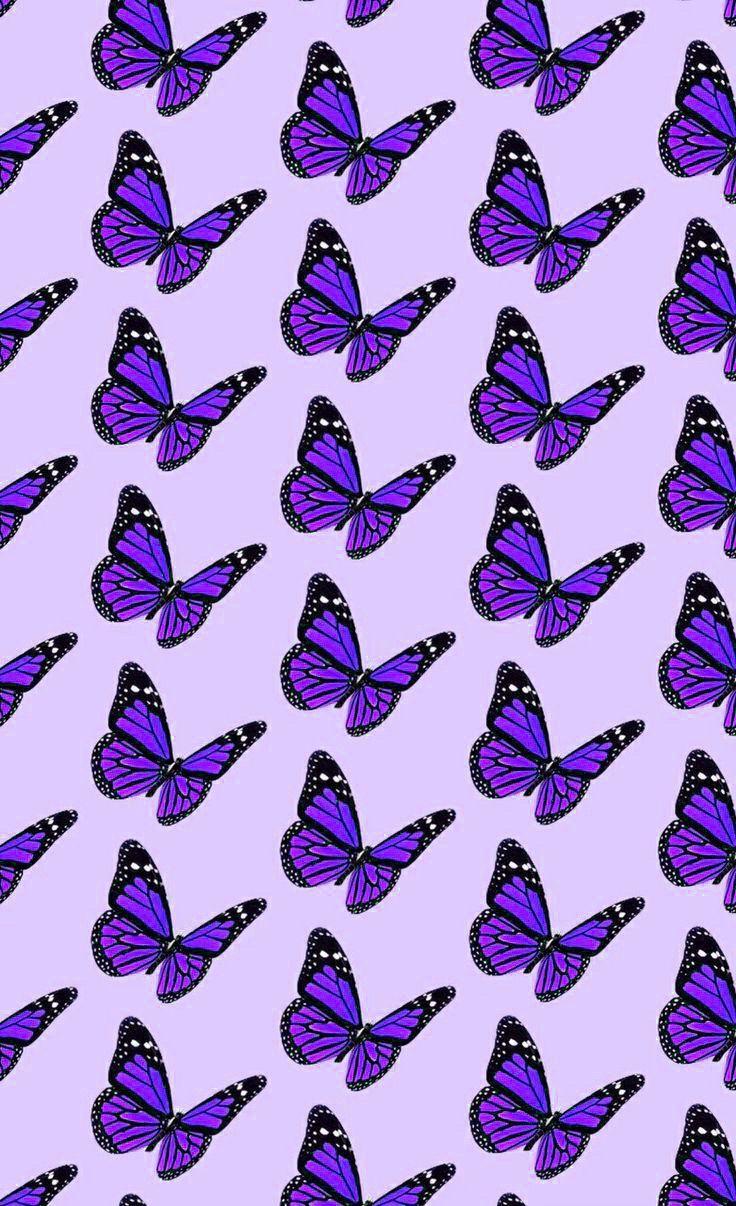 736x1206 butterfly wallpaper. Butterfly wallpaper, Aesthetic iphone wallpaper, Purple wallpaper iphone