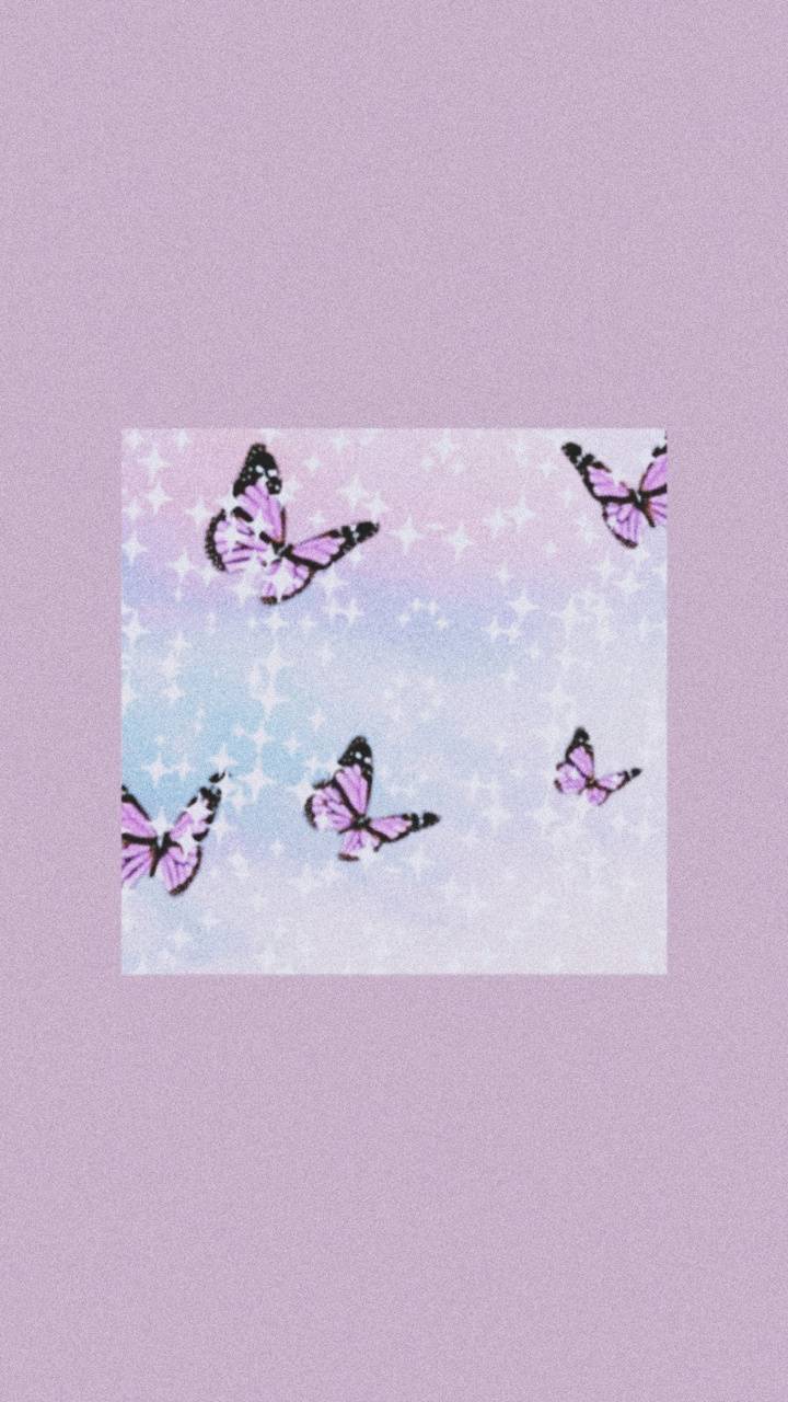 720x1280 Butterfly Aesthetic Wallpaper